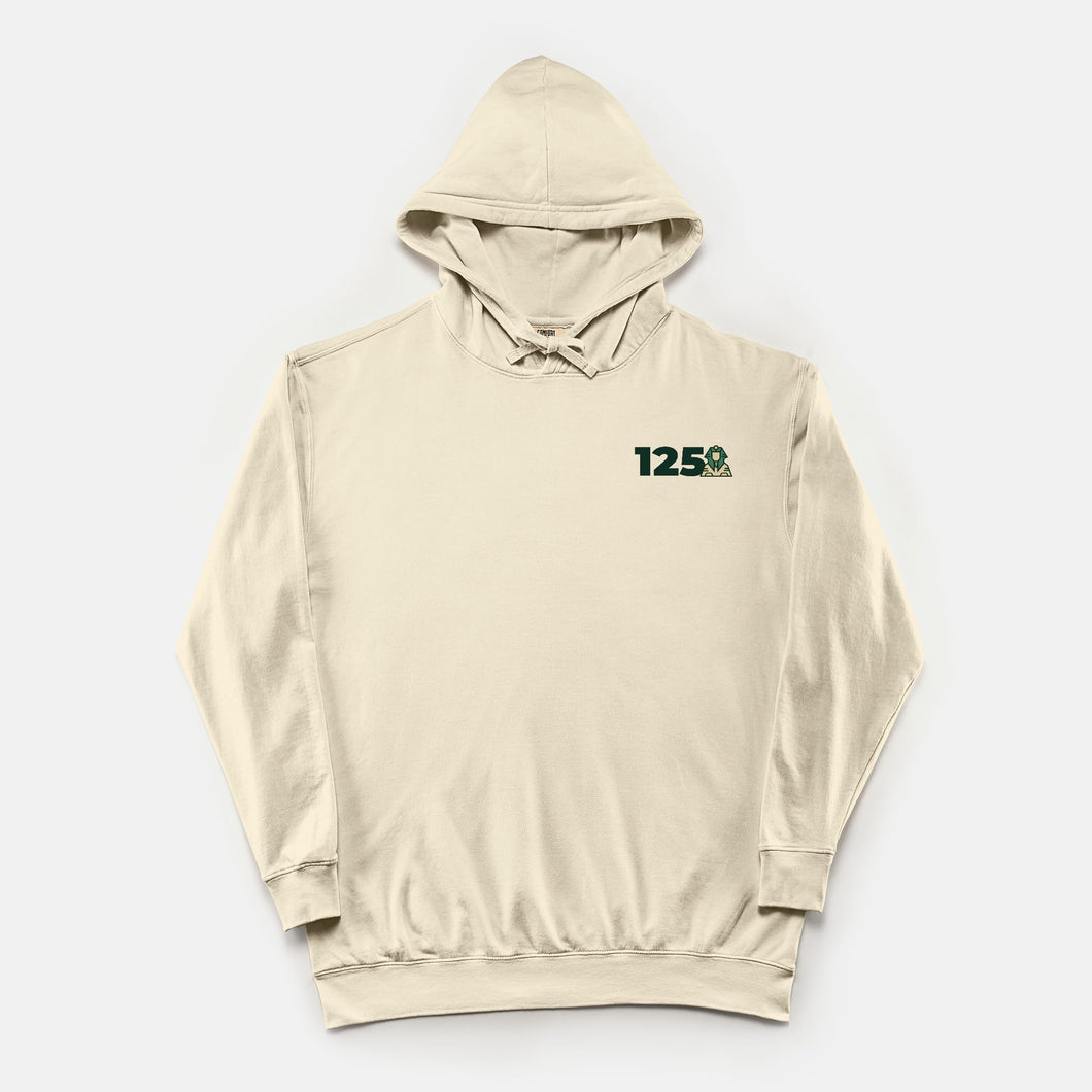 Delta Sigma Phi 125 Comfort Colors Lightweight Hooded Sweatshirt