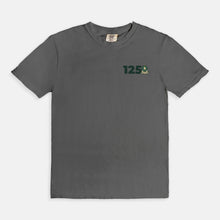 Load image into Gallery viewer, Delta Sigma Phi Comfort Colors Anniversary Tee