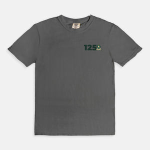 Delta Sigma Phi Comfort Colors Anniversary Tee