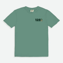 Load image into Gallery viewer, Delta Sigma Phi Comfort Colors Anniversary Tee