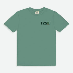 Delta Sigma Phi Comfort Colors Anniversary Tee