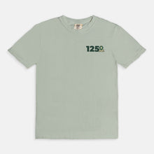 Load image into Gallery viewer, Delta Sigma Phi Comfort Colors Anniversary Tee