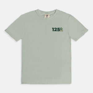 Delta Sigma Phi Comfort Colors Anniversary Tee