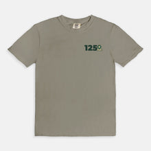 Load image into Gallery viewer, Delta Sigma Phi Comfort Colors Anniversary Tee