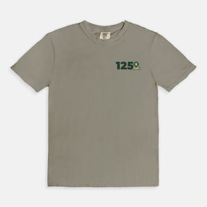 Delta Sigma Phi Comfort Colors Anniversary Tee