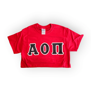 Alpha Omicron Pi Sorority Letter Shirt