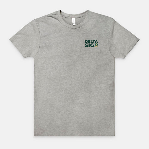 Delta Sig 