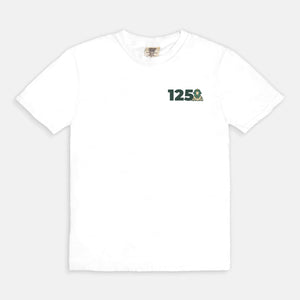 Delta Sigma Phi Comfort Colors Anniversary Tee