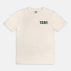 Delta Sigma Phi Comfort Colors Anniversary Tee