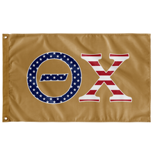 Load image into Gallery viewer, Theta Chi American Banner - Gold