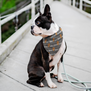 Street Dog Hero Pet Bandana -  Charcoal